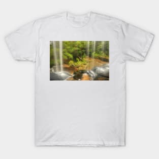 Lower Somersby Falls .. a view sublime T-Shirt